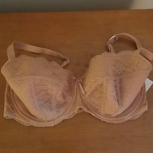 NWT Sexy Lacy Freya Bra